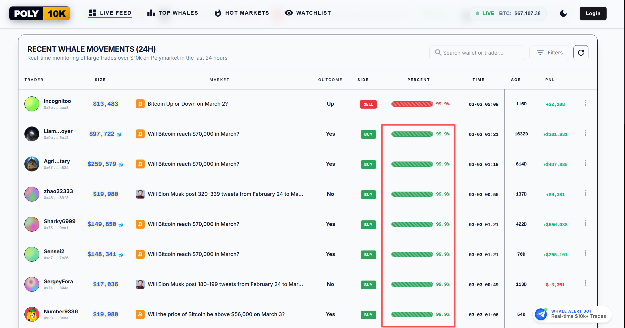 Poly10K Whale Tracker Dashboard